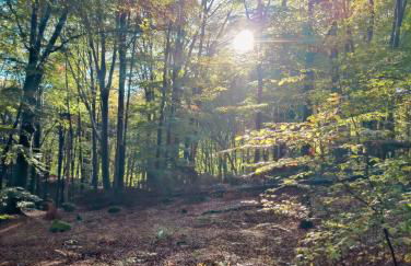 Casa del Conte - Foto 27