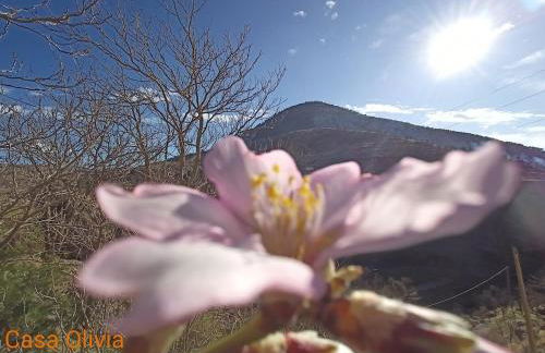 Bellísima cueva acogedora "Casa Olivia" - Foto 45