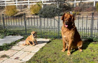 Amazing Ranch Home in Temecula wine country - Foto 35