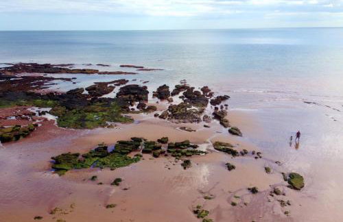 Ottery St Mary Cottages - Foto 11