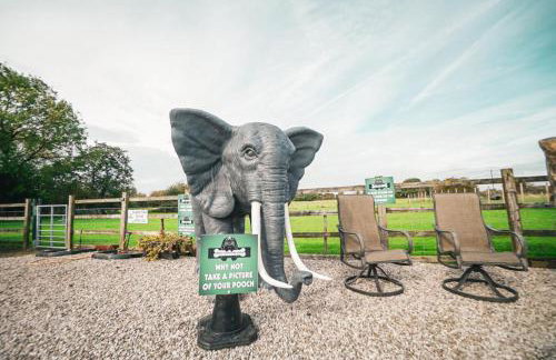 The Old Lambing Barn - Foto 11