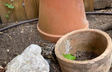 la casetta di Silvia - Photo 22