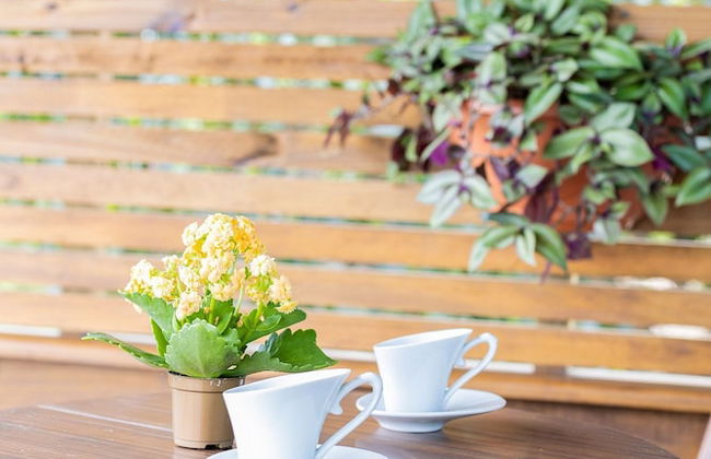 Sunset Bed and Breakfast - Ibiraquera - Imbituba - SC - Foto 29