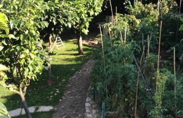 Studio Apartman Lavanda - Foto 18