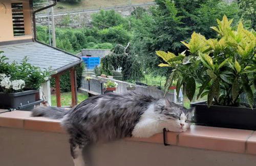 Casa Vignolet : la finestra su Pont-Saint-Martin - Foto 23