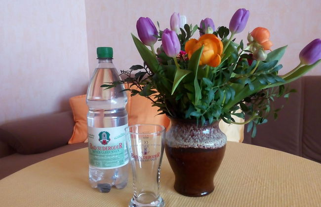 Ferienwohnungen Fröhlich - Foto 14