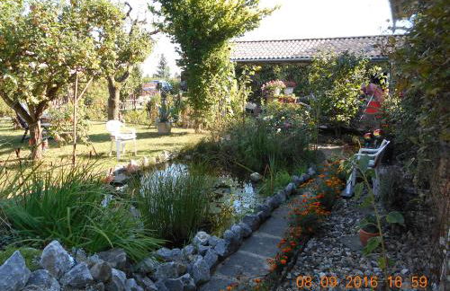 Vermiete sehr schönes Apartment in Dankerode im Harz - Foto 13