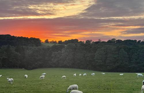 Robinsons Cottage, central and quiet - Foto 40