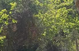 Agrampeli Villa - Photo 28