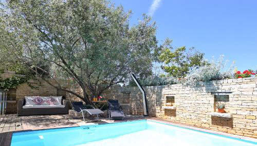 Olive's Hug - Foto 4