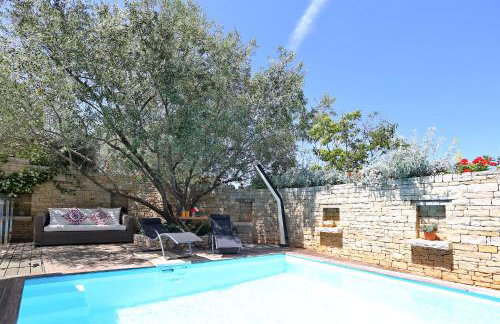 Olive's Hug - Foto 4