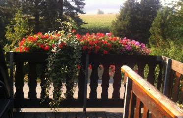 Ferienwohnung Gürth - Foto 44