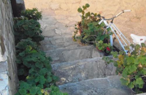 Cortijo Moyano - Photo 30