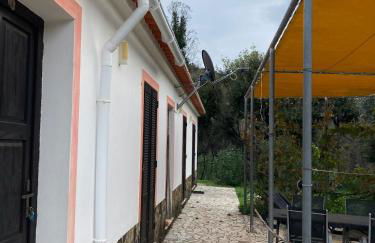 Oleiro de Cima - Foto 19