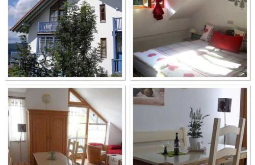 Ferienland Sonnenwald Fewo 46 und Studio 50 in Schöfweg Bayerischer Wald - Foto 14