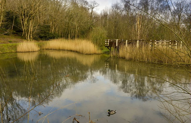 Summer Lodge Luxury Caravan in Hastings Free Wifi - Foto 26