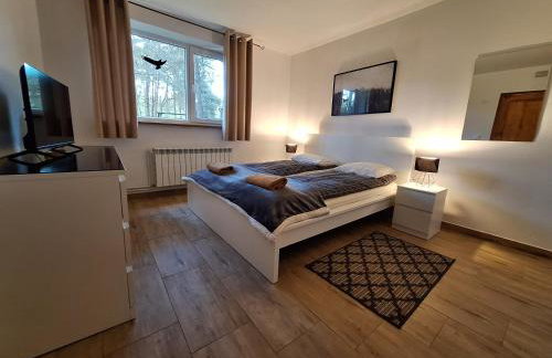 Dom i Domki nad Tanwią Roztocze - Foto 47