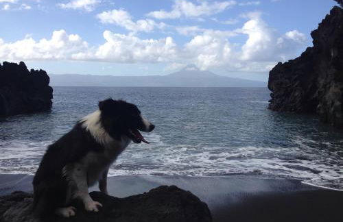 Make It Happen Farm - Photo 60