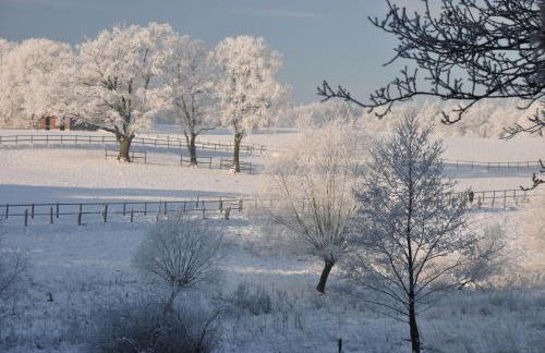 Zum Brandenburger Tor 24H Check In - Foto 19