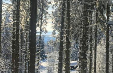 Le Joy - Murat le Quaire - 5 pers - Foto 27