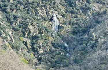 El caserío de la abuela - Foto 25