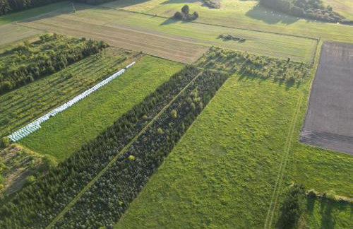 Apartament Blisko Lasu - Foto 7