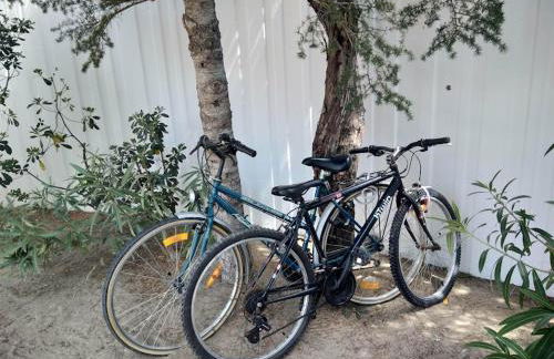 Maison Jardin Wifi - Climatisation - 100 m plage sauvage - 20 min Perpignan - Foto 13