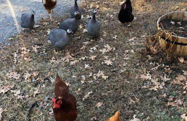 Farm House at Gray House Farm - Foto 13