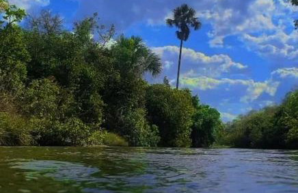 CANTINHO DA ROSA ac - RIO PRIVATIVO - Foto 16