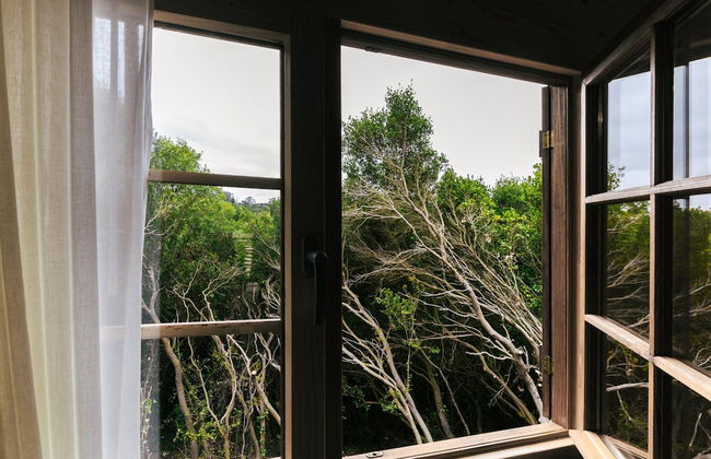 Country - Quinta Completa - Foto 43