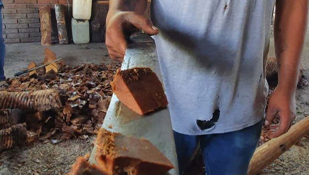 Mezcal Tour of Santa Catarina Minas - Foto 5