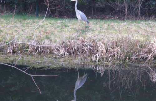 Appartement am Teich - Foto 27