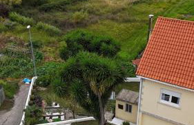Casa Davila - Foto 45