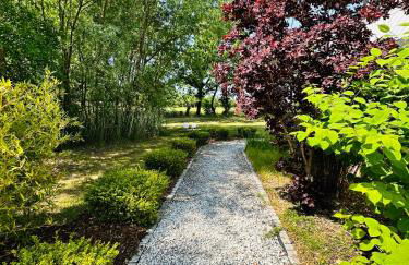 Premium Ferienwohnung Ulf-Dieter Kunstmann - Foto 43