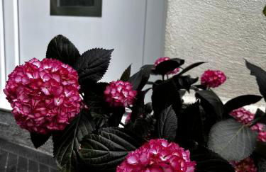 Ferienwohnung an der Ostsee - Foto 35