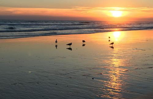 Luxurious T2 apartment, Olhos Dagua - Foto 27