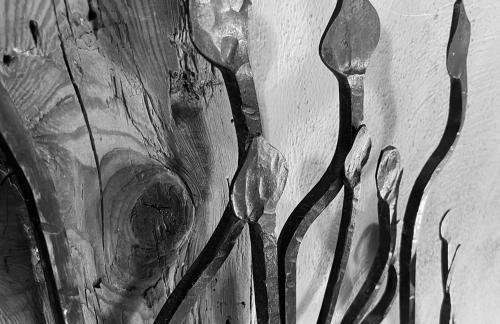 Agroturystyka Dom pod Sową - Foto 26