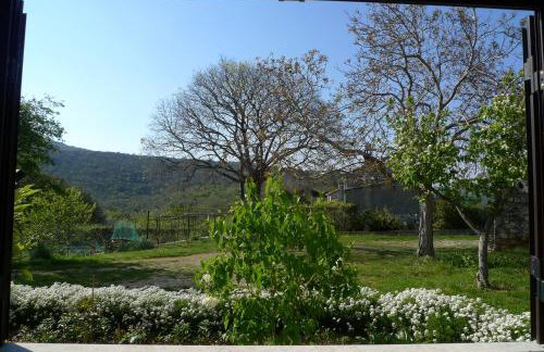 Apartments Smolica - Foto 33