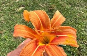 Le Mas Del Cargol - Foto 77