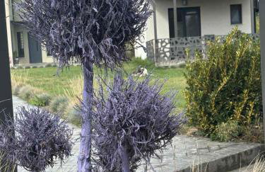 THE ROOMS - Photo 53