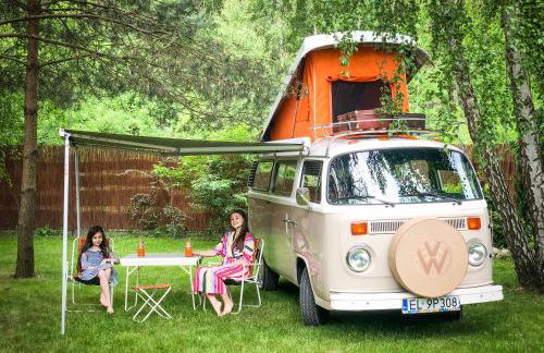 Modra Sikorka - Foto 54