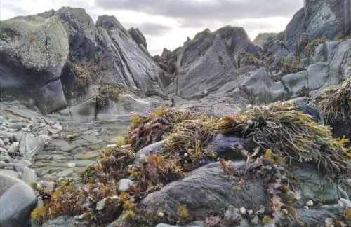 Port Lodge Northern Ireland - Foto 12