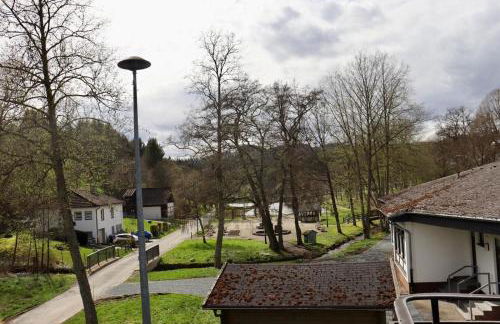 Direkt am See Winterberg Elkeringhausen - Foto 42