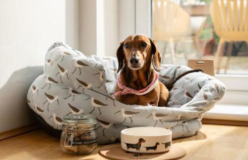 Coed y Felin - Foto 15