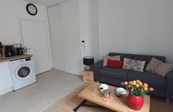 Grand studio parking-bord de Loire- hyper centre - Foto 9