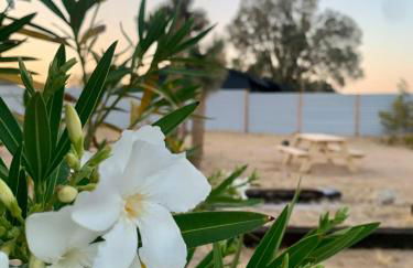 Casa Agave: Comfy Joshua Tree Cottage With Free Breakfast Bar - Foto 24