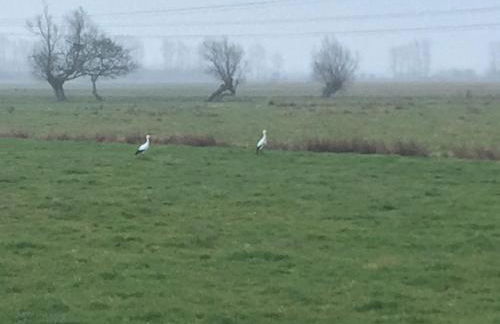 Meublé 3 étoiles, proche Plages débarquement dans les Marais du Cotentin à Carentan - Photo 33