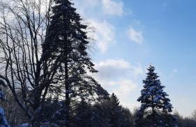 Domek - Na Lipę - Foto 31