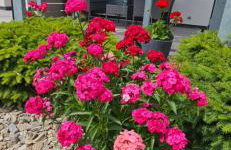 Apartamenty Polanki 2 - Sauna, Jacuzzi, Podgrzewany Basen - Foto 74