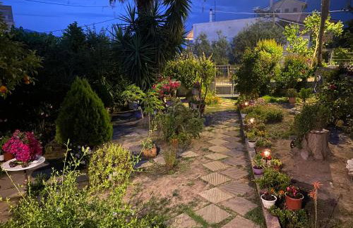 Λευκό γιασεμί - Νέες Παγασές Βόλος - Photo 20